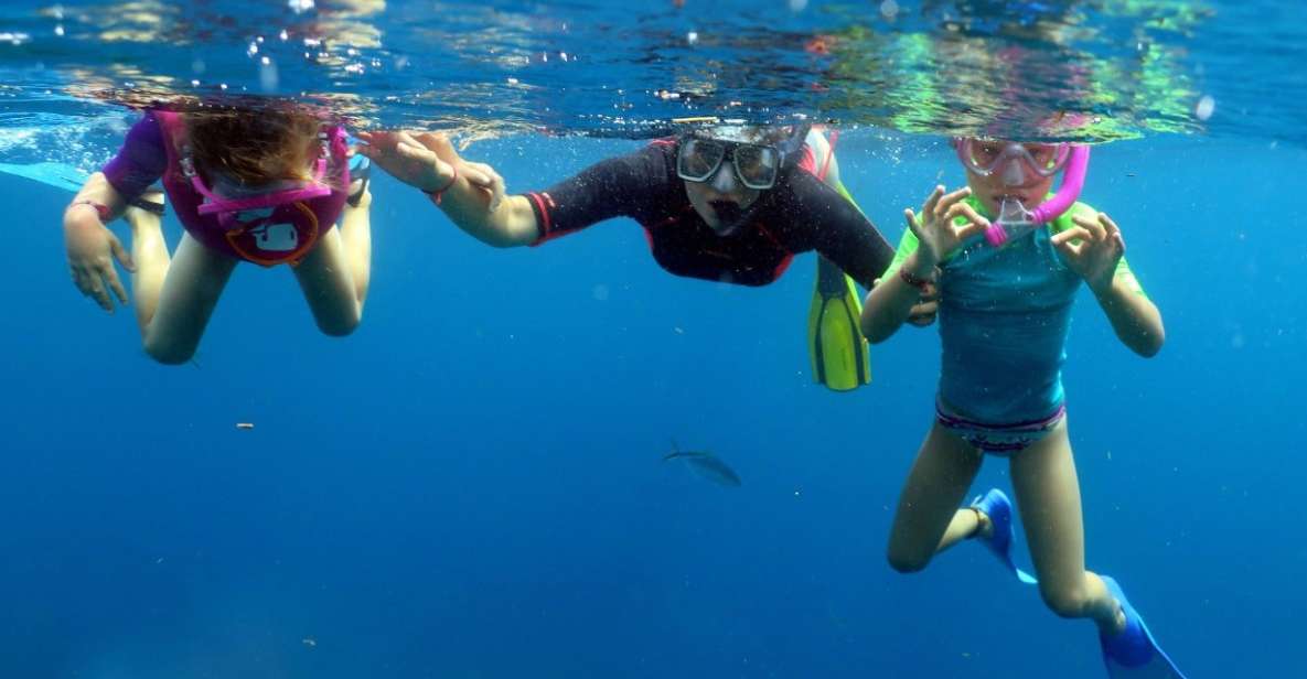 From Punta Cana: Small Group Catalina Island Snorkeling Tour - Tour Pricing and Duration