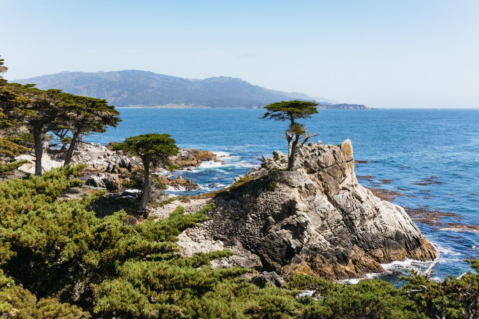 From San Francisco: Monterey and Carmel Day Tour - Key Points