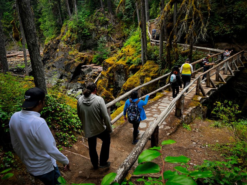 From Seattle: Mount Rainier Full-Day Tour - Key Points