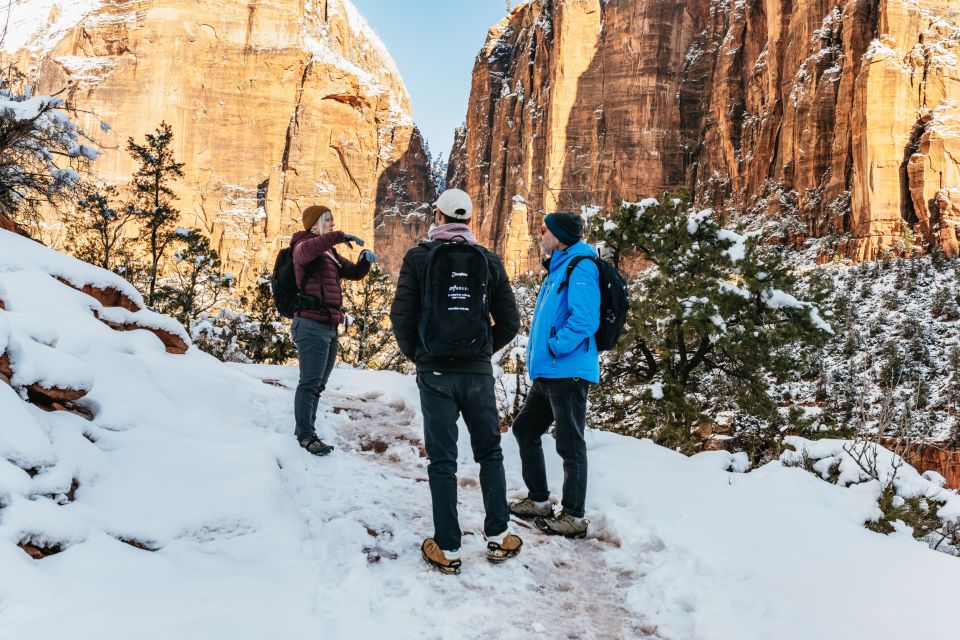 From Springdale: 4-hour Zion Canyon Scenic Hiking Tour - Key Points