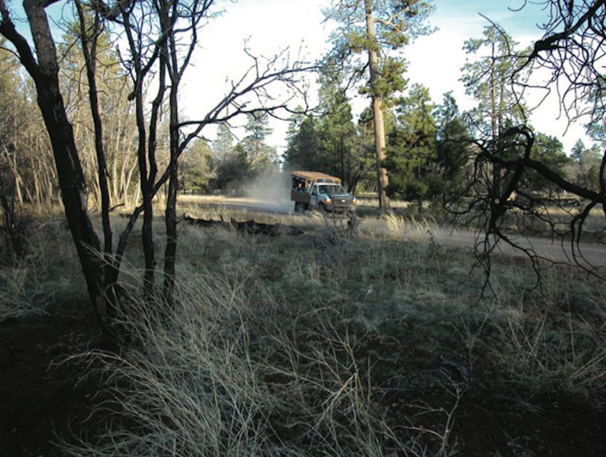 Grand Canyon: Off-Road Sunset Safari With Skip-The-Gate Tour - Key Points