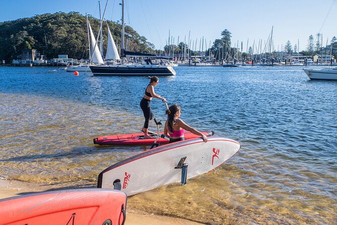 Guided Step-Up Paddle Board Tour of Narrabeen Lagoon - Key Points