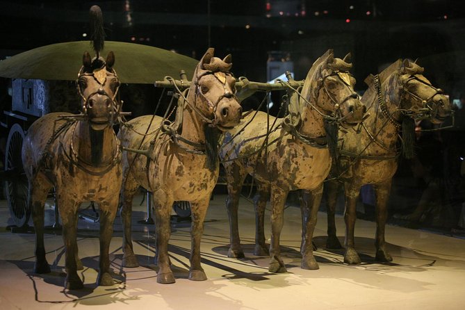Half-Day Xian Tour to Terracotta Warriors Museum - Transportation Details