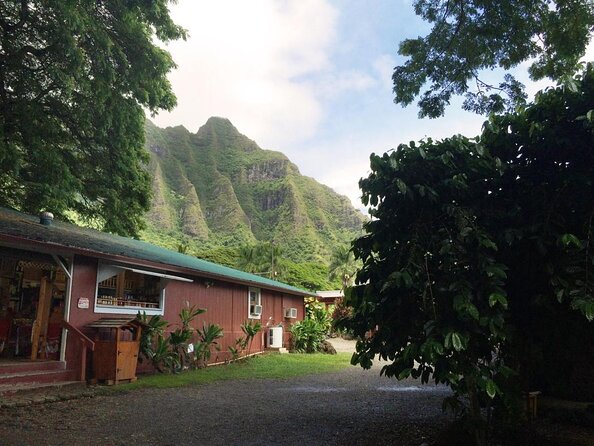 Hawaii Oahu Island Sightseeing and Food Combo Tour - Key Points