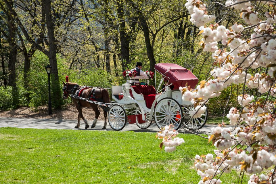 Horse and Carriage Rides Central Park - Key Points