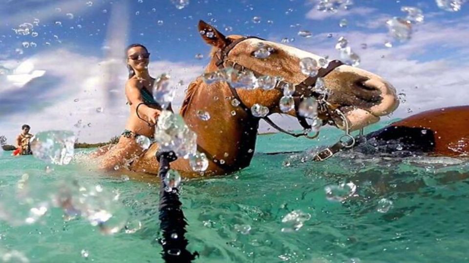 Horseback Ride N Swim in Montego Bay - Key Points