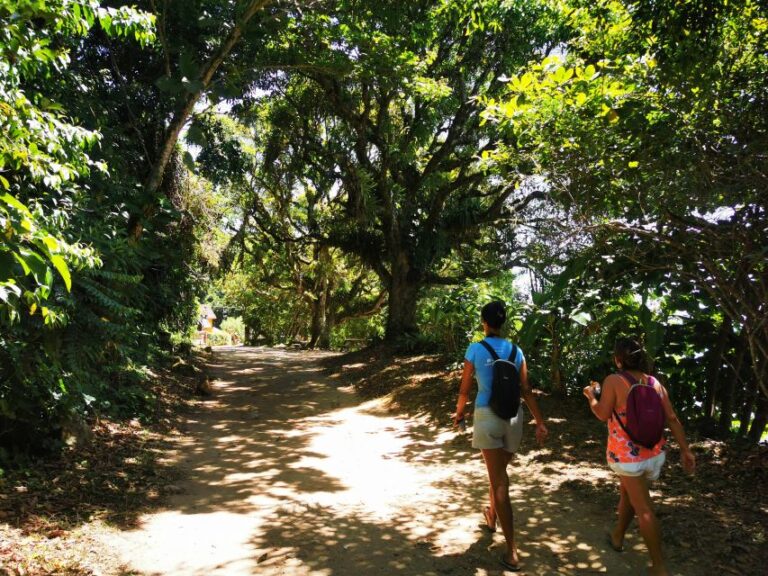 Ilha Grande: Private Historic Walking Tour With Natural Pool