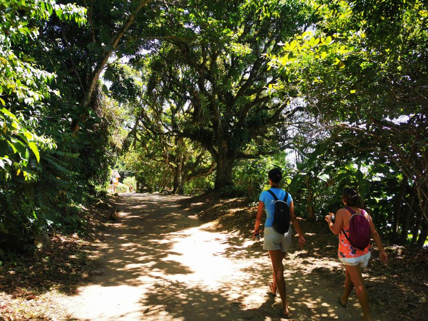 Ilha Grande: Private Historic Walking Tour With Natural Pool - Activity Details