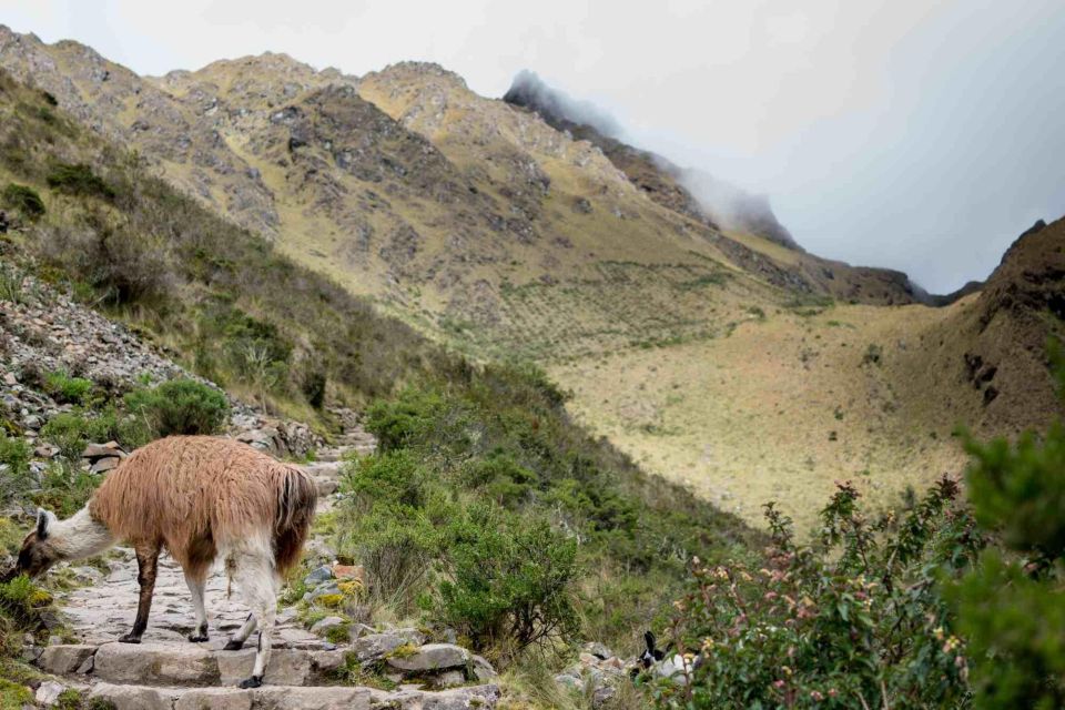 Inca Trail to Machu Picchu (4 Days) - Key Points