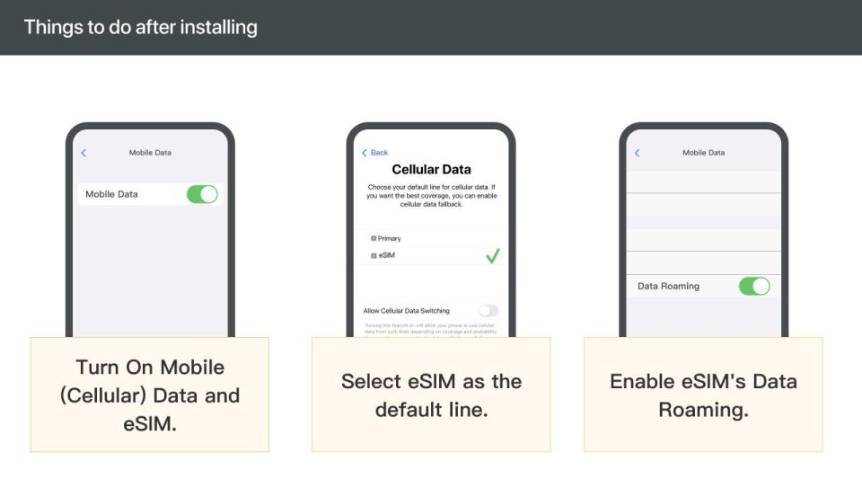 India: Esim Mobile Data Plan - Pricing and Availability