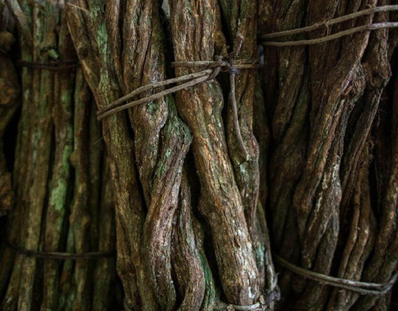Iquitos: Healing Treatment With Ayahuasca | 1 Ceremony - Key Points
