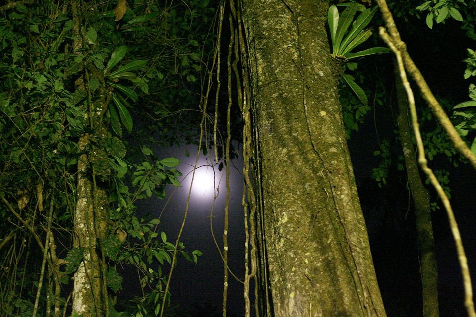 Iquitos: Incredible 4-Day Amazon Tour - Key Points