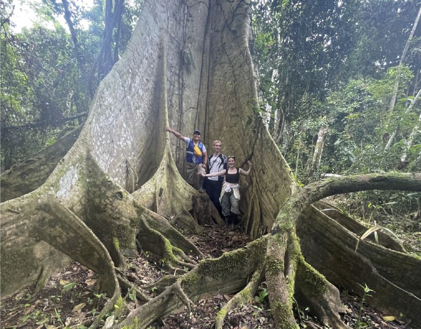 Iquitos (Perú): 4-Days Amazon Lodge By: Canopy Tours Iquitos - Key Points