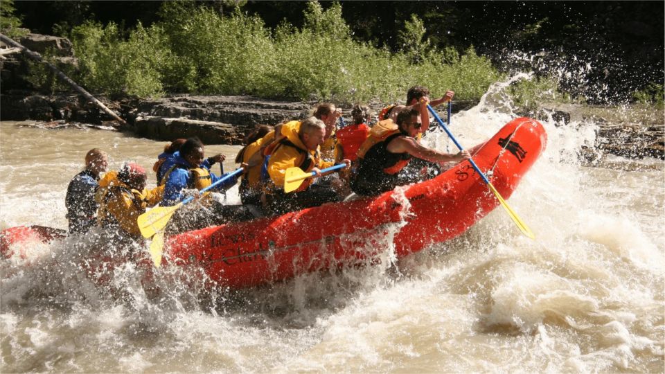 Jackson Hole: Snake River Whitewater Rafting Tour - Tour Overview