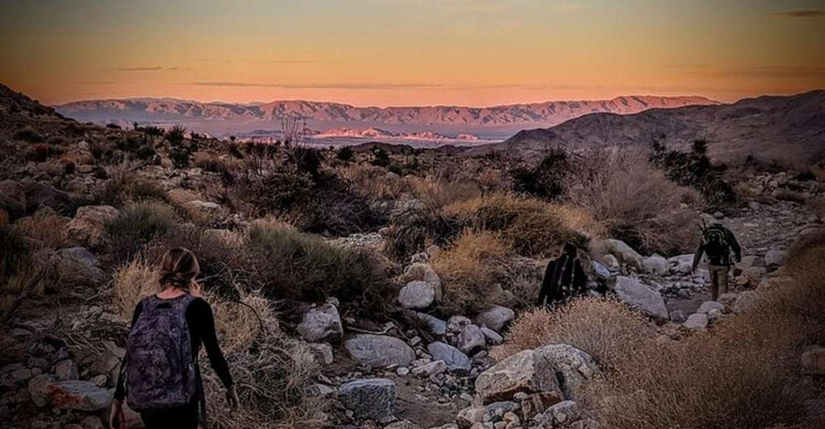 Joshua Tree: Half-Day Private Hike of the National Park - Key Points