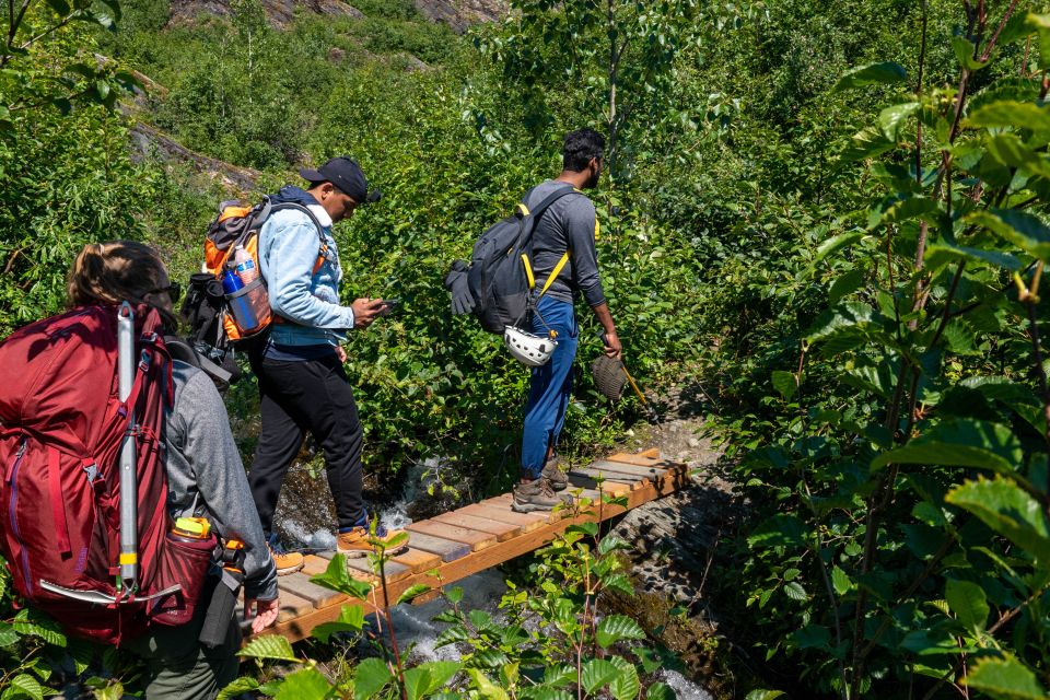 Juneau or Mendenhall Valley: Mendenhall Glacier Day Trip - Key Points