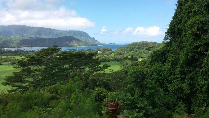 Kauai East Side and North Shore Private Guided Tour - Key Points