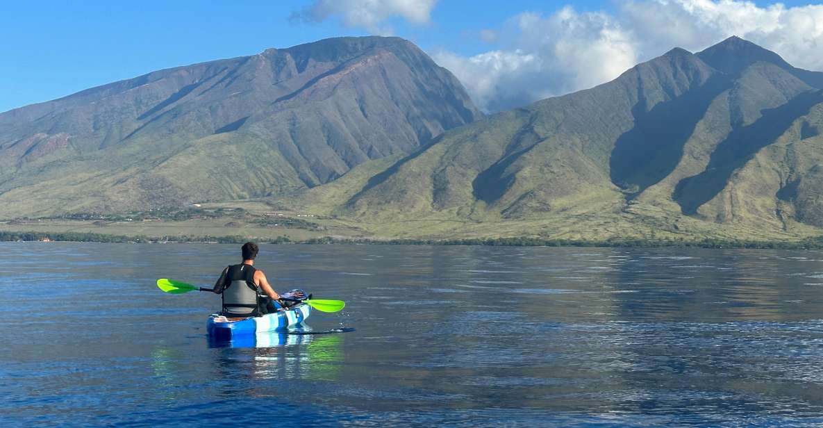 Kayak, Whale Watch And Snorkel At Turtle Town - Key Points