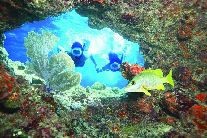 Key West Coral Reef Snorkel Adventure With Mimosas or Margaritas - Key Points