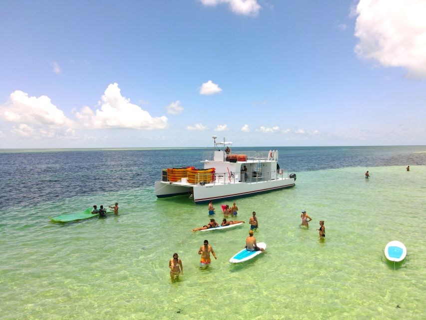 Key West Sandbar Excursion & Dolphin Tour Includes Beer Wine - Key Points