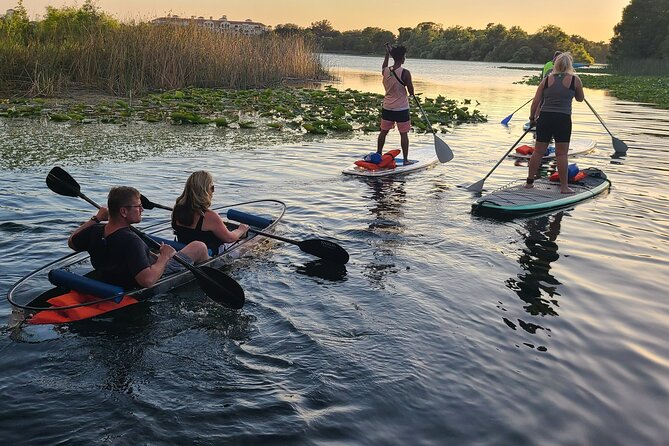 Lake Ivanhoe Guided Paddleboard or Kayak Tour in Orlando
