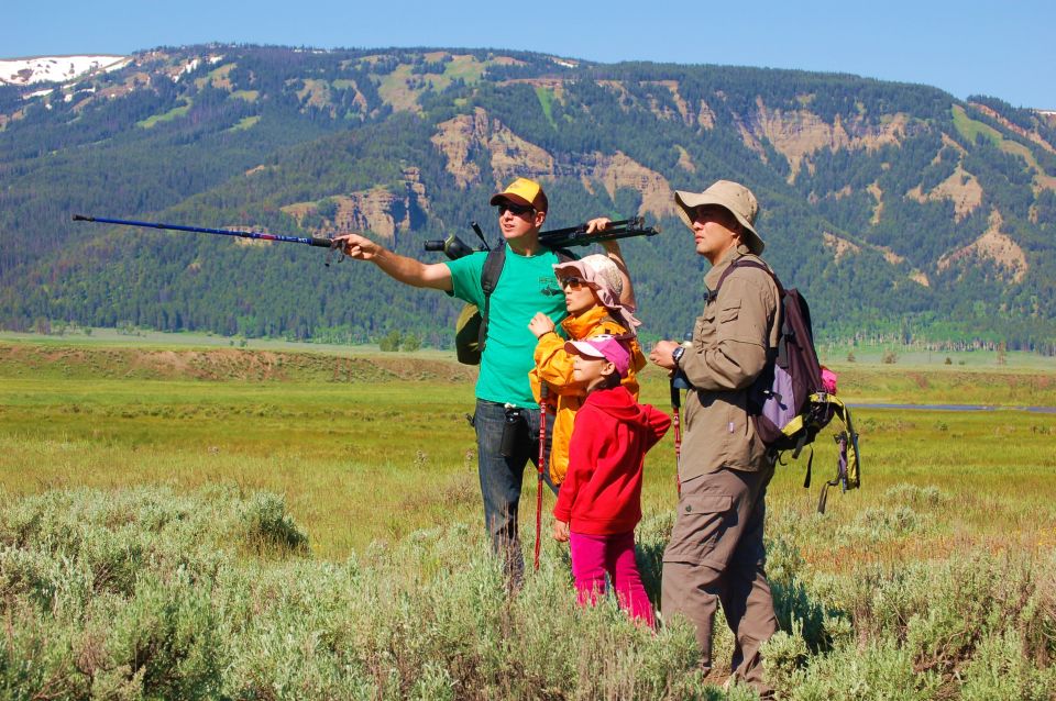 Lamar Valley: Safari Hiking Tour With Lunch - Key Points