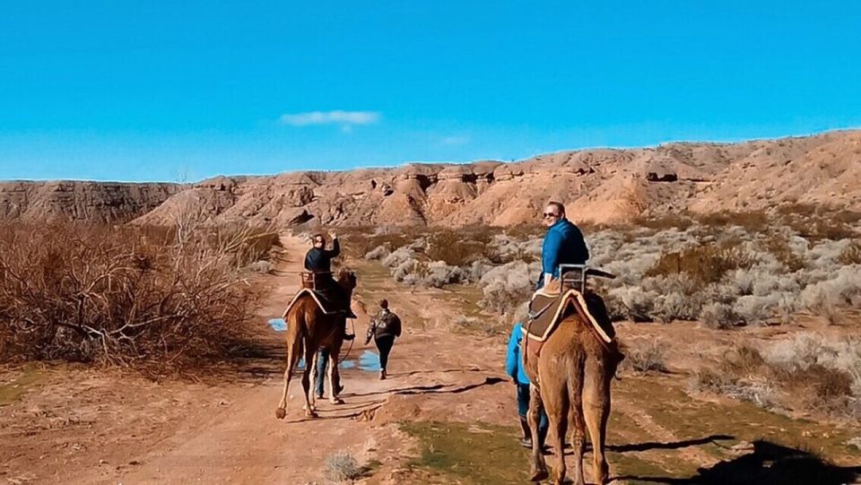 Las Vegas: Desert Camel Ride - Key Points