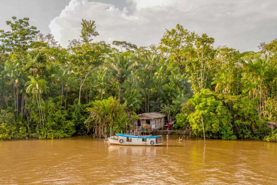 Manaus: 2, 3 or 4-Day Amazon Jungle Tour in Anaconda Lodge - Key Points