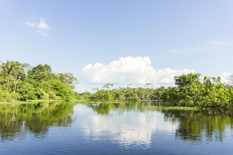 Manaus: Amazon River Stand-Up Paddle - Key Points