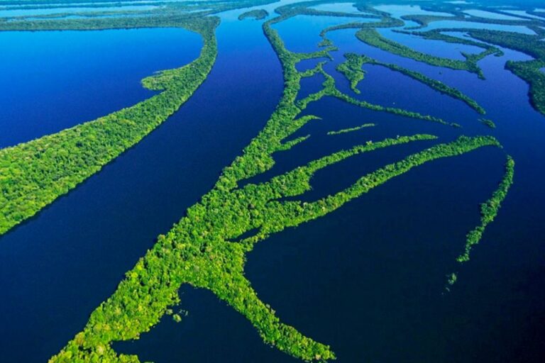 Manaus: Amazonas Jungle Trek & Anavilhanas Archipelago