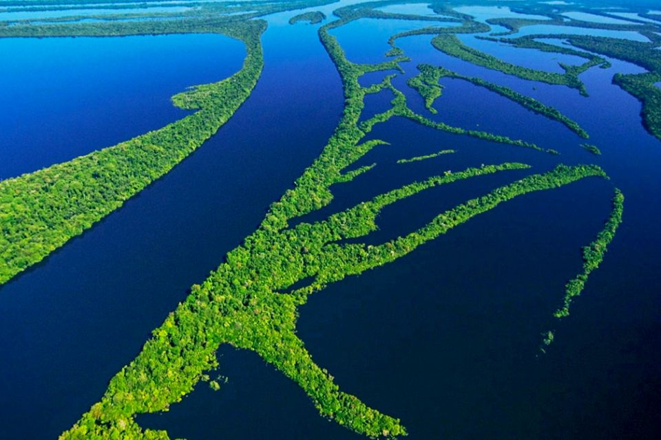 Manaus: Amazonas Jungle Trek & Anavilhanas Archipelago - Booking Details