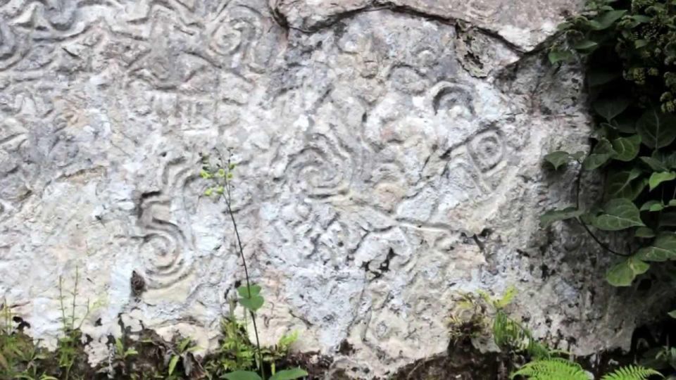 Manu National Reserve 5D | Pusharo Petroglyphs | - Key Points