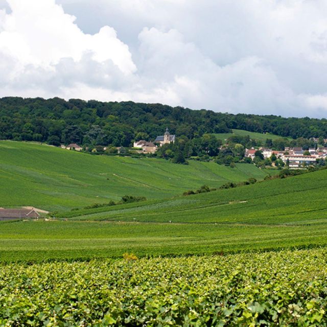 Marne: 2-Day Champagne Tour With Tastings and Lunches - Key Points