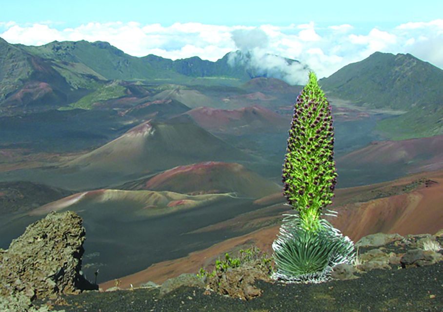 Maui: Haleakalā National Park Sunset Tour - Key Points