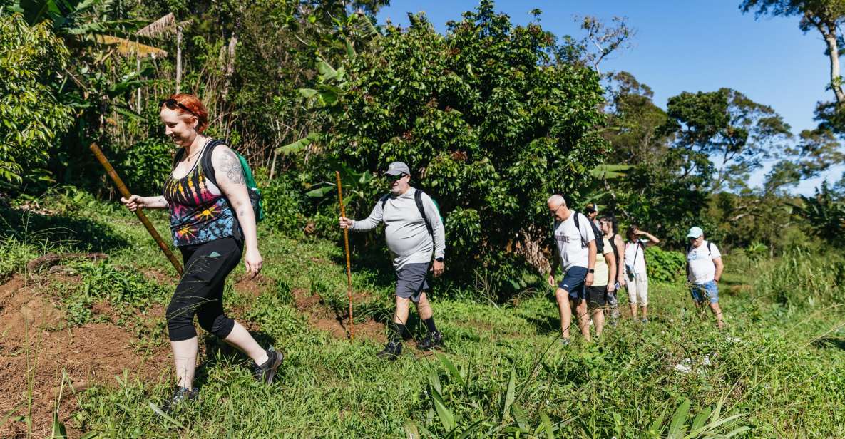 Maui: Hike to the Rainforest Waterfalls With a Picnic Lunch - Key Points