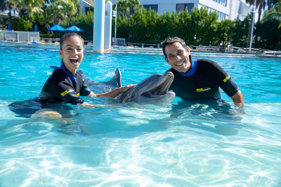 Miami: Swim With Dolphins Experience With Seaquarium Entry - Key Points