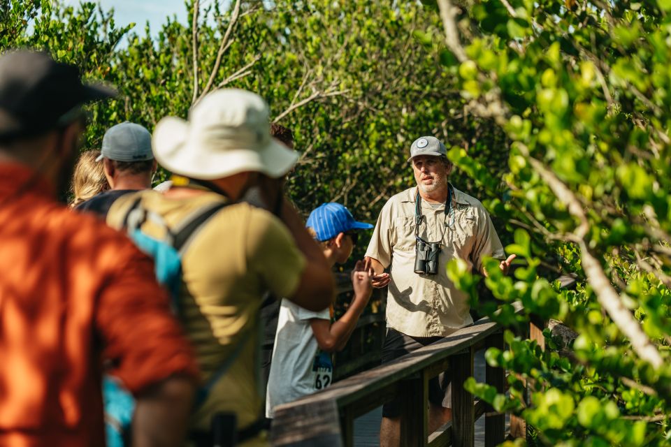 Miami: Tour the Everglades by Airboat and Take a Nature Walk - Key Points