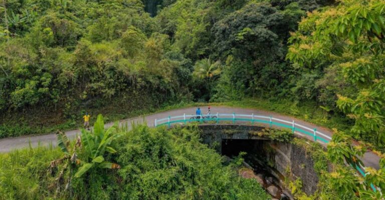 Montego Bay: Blue Mountain Private Bicycle Tour