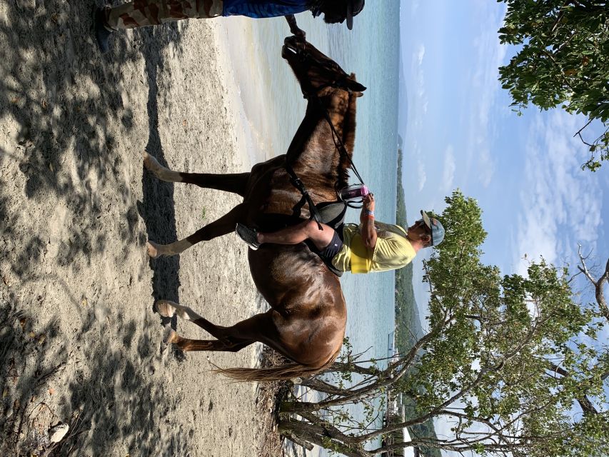 Montego Bay: Zipline, ATV, Horseback Riding & Catamaran Tour - Key Points