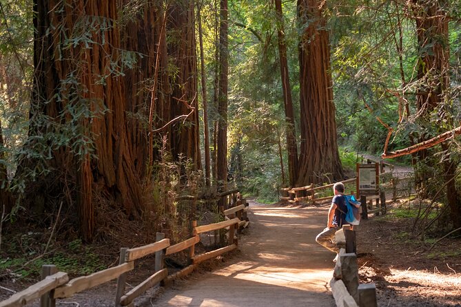 Muir Woods Expedition Tour of Coastal Redwoods - Booking and Cancellation Details