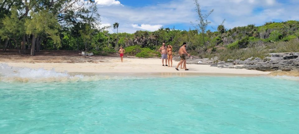 Nassau: 3 Islands Tour, Snorkel, Pig Beach, Turtles & Lunch - Key Points