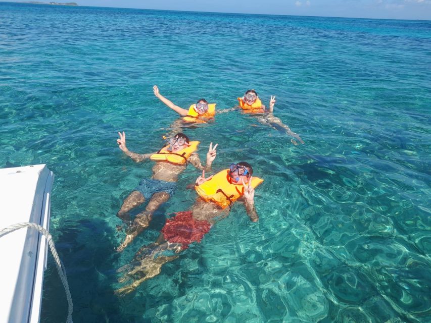 Nassau: Swimming Pigs Private Boat Tour - Up to 7 Persons - Key Points