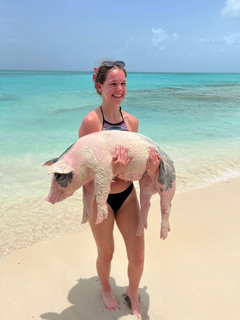 Nassau: Swimming Pigs, Snorkeling W/Turtles Lunch Beach Club - Key Points