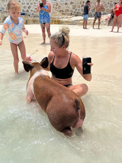 Nassau: Swimming Pigs, Turtle Viewing, Snorkeling, and Lunch - Key Points