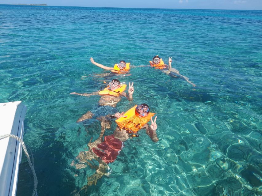 Nassau: Swimming With Pigs, Snorkeling, and Sightseeing Tour - Key Points