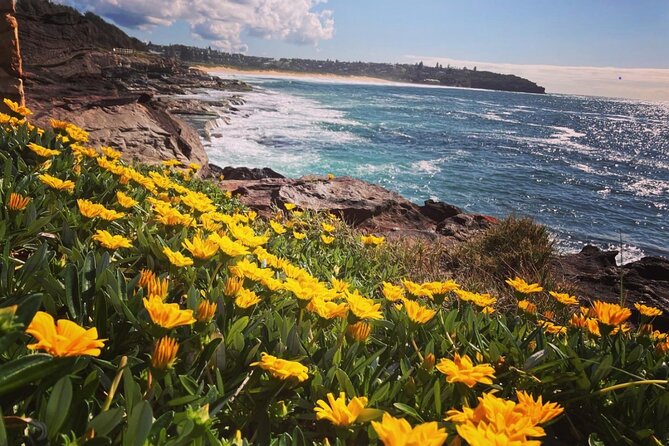 Nature, Culture and History, Immersive Guided Walk in North Head, Sydney - Key Points
