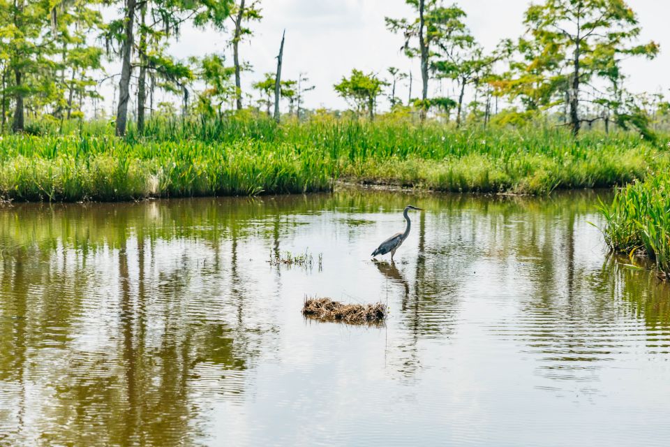 New Orleans: Discover the Surrounding Swamps by Airboat - Common questions