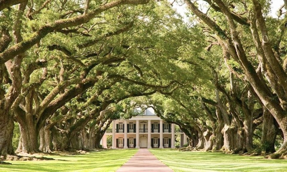 New Orleans: Oak Alley or Laura Plantation & Airboat Tour - Key Points