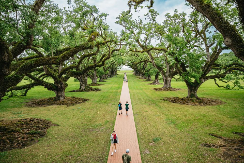 New Orleans: Oak Alley Plantation and Swamp Cruise Day Trip - Key Points