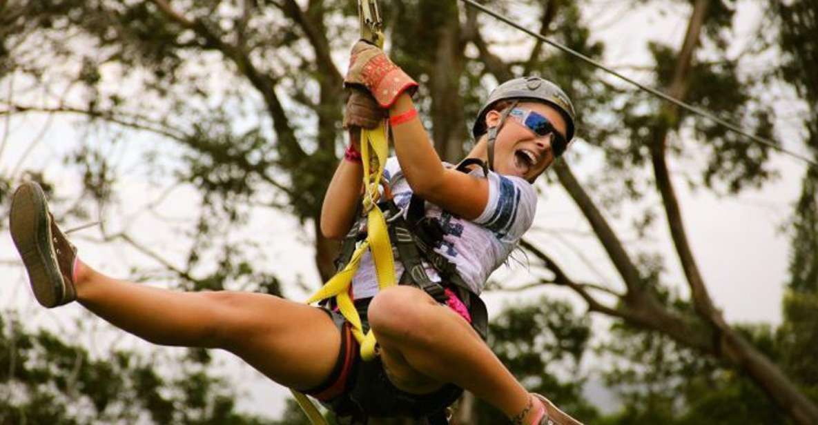 North Maui: 7 Line Zipline Adventure With Ocean Views - Key Points